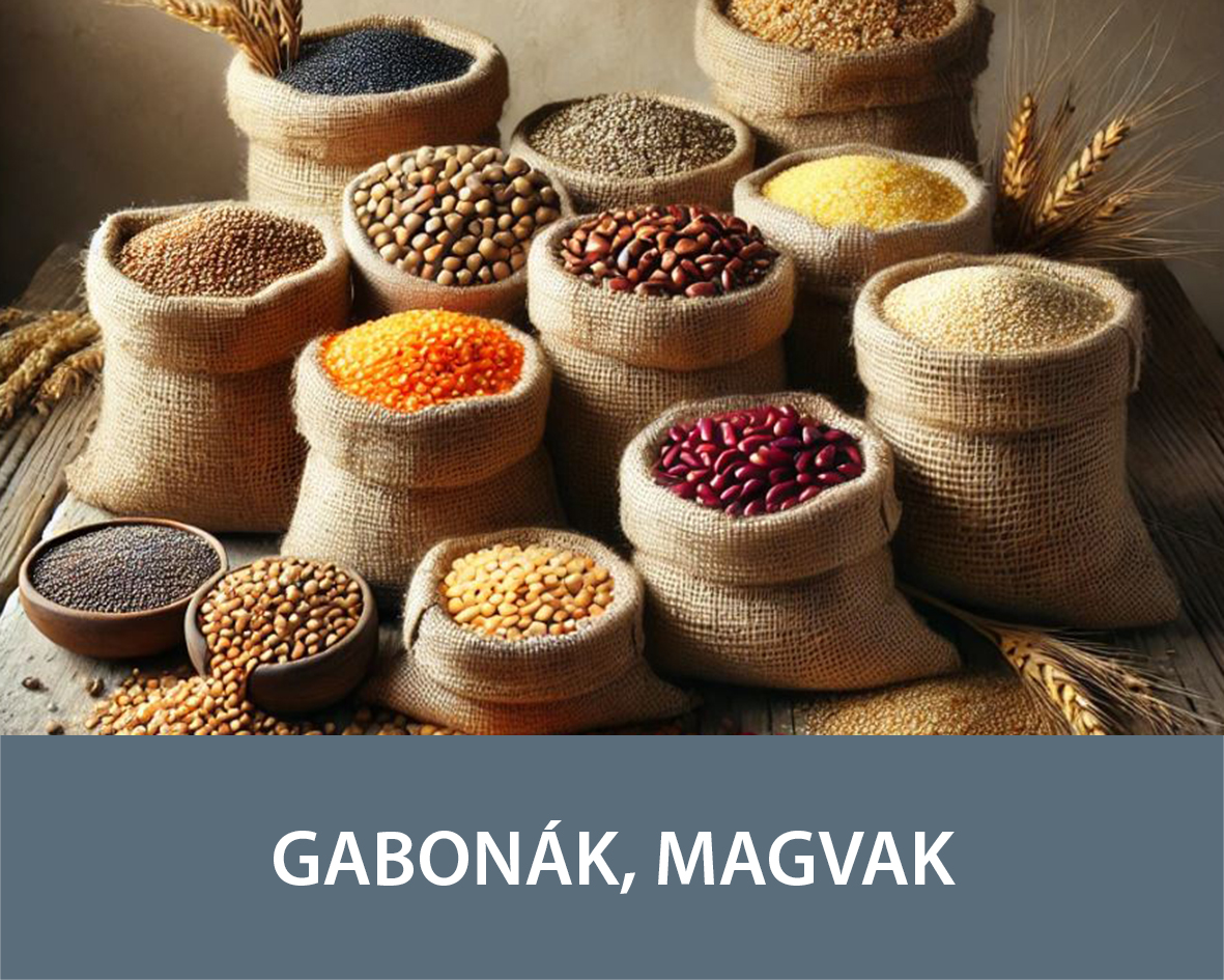 Gabonák, Magvak