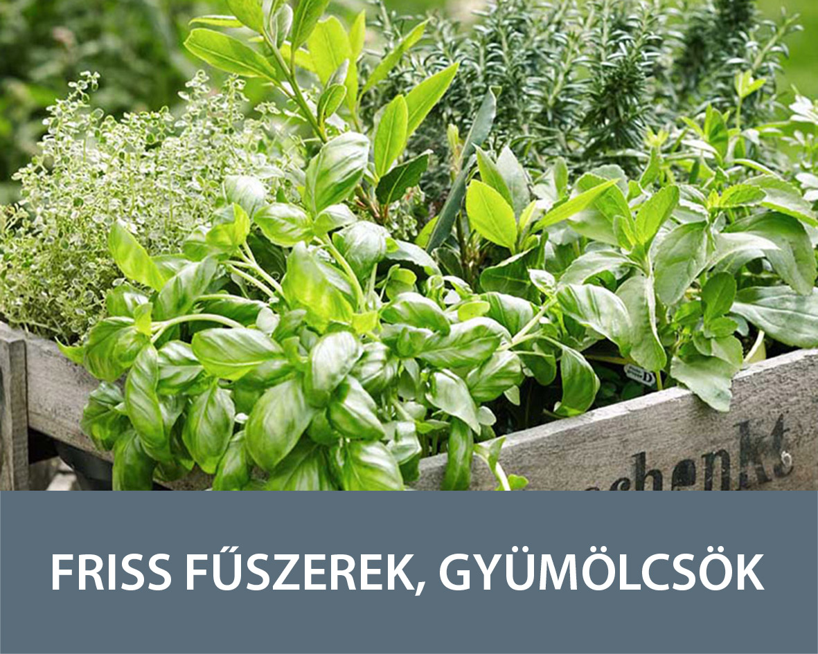 Friss Fűszerek, Gyümölcsök