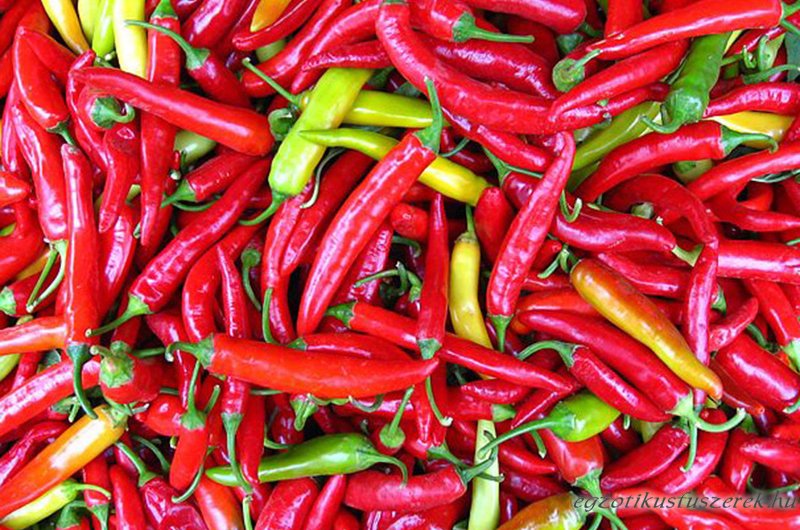 Cayenne Bors