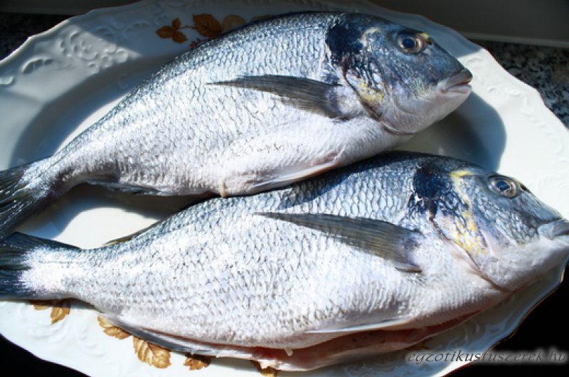 Sea bream