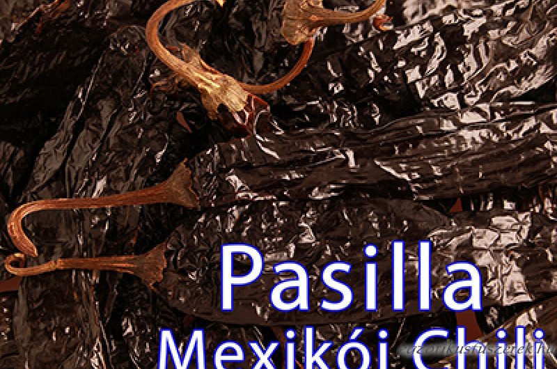 Pasilla Chili