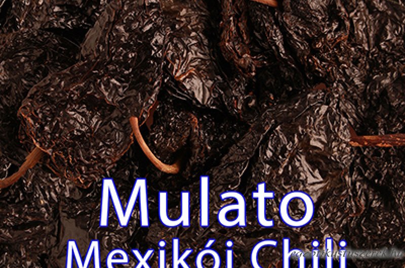 Mulato Chili