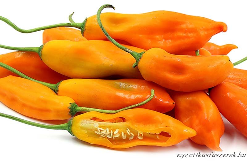 Aji Amarillo Chili