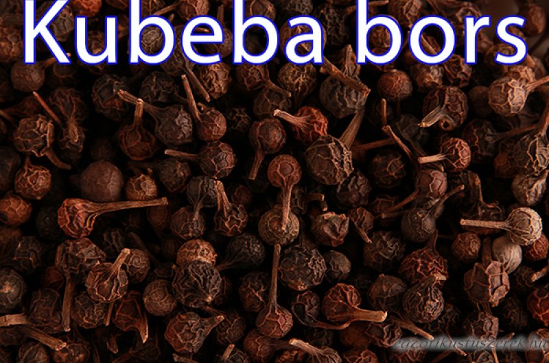 Kubebabors