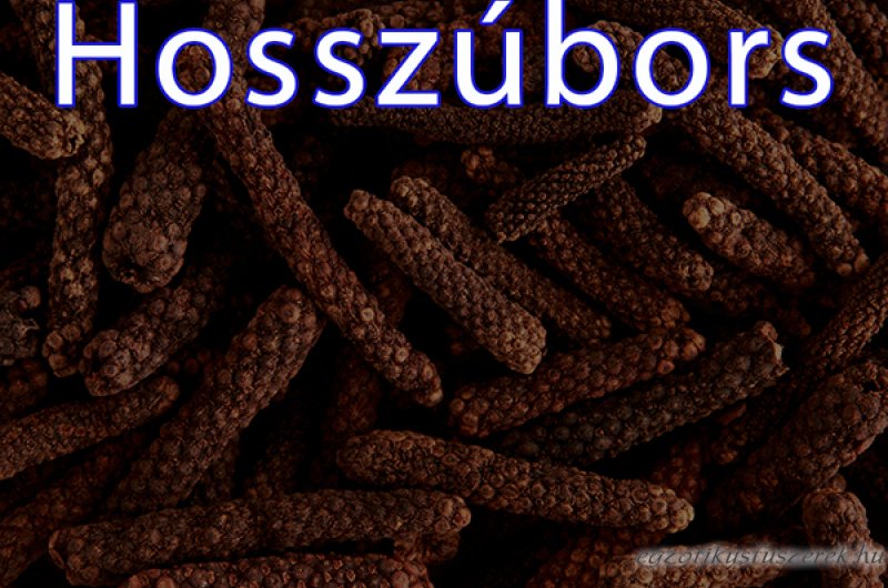 Hosszúbors