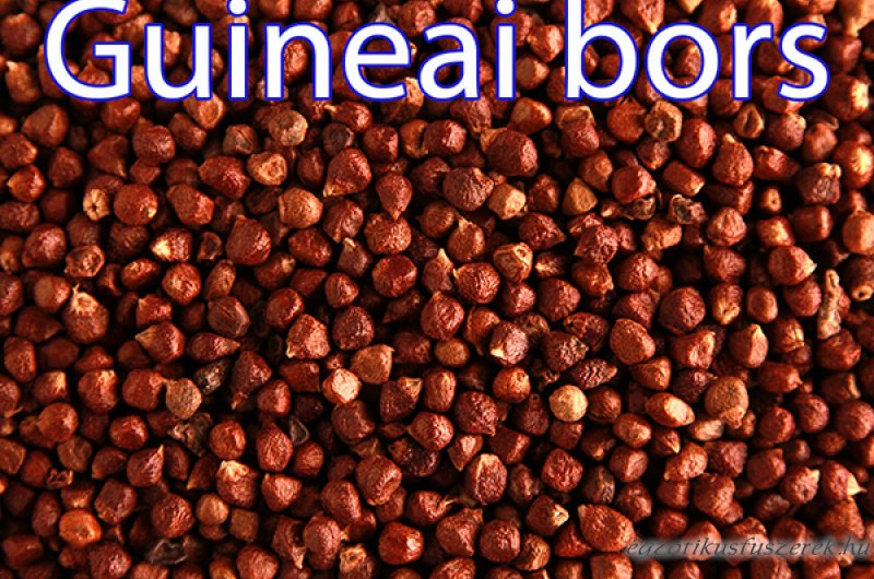 Guineai bors