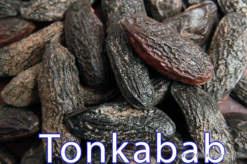 Tonkabab